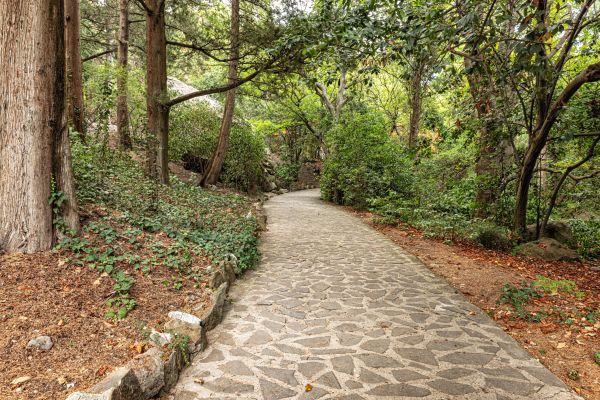 Stone Walkway Repair in Toledo