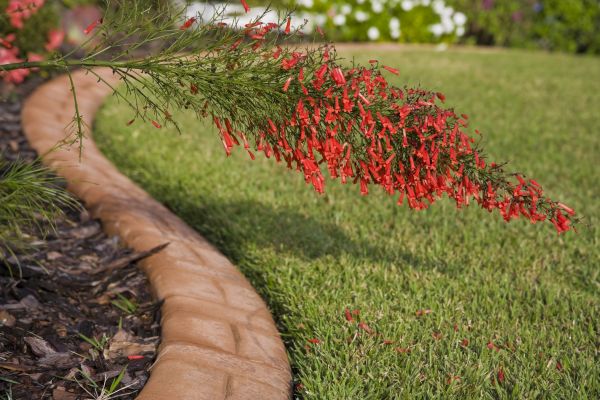 Brick Edging in Toledo