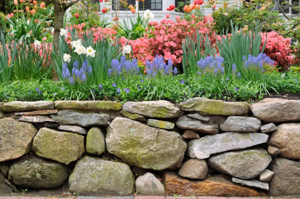 Stone Wall Hardscaping in Toledo