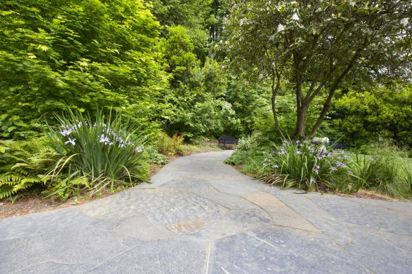 Stone Hardscape Service in Toledo